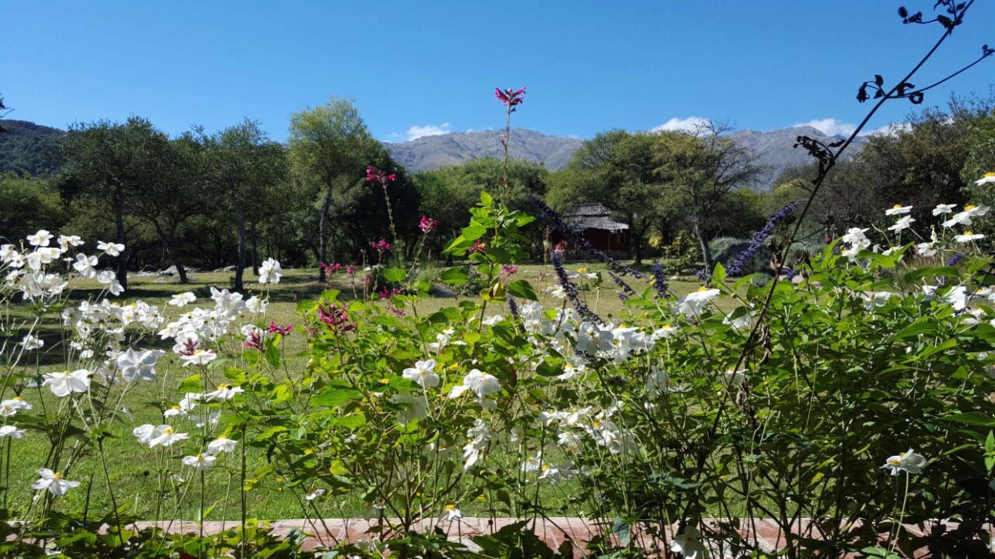 Las Dalias Villa Las Rosas Exteriér fotografie