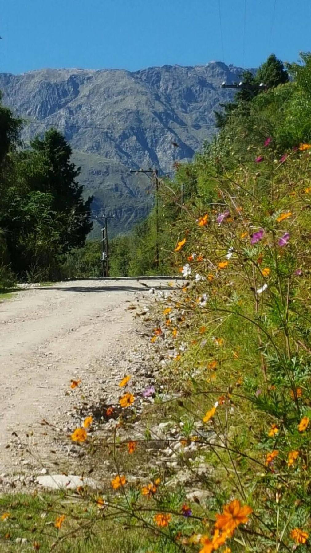 Las Dalias Villa Las Rosas Exteriér fotografie